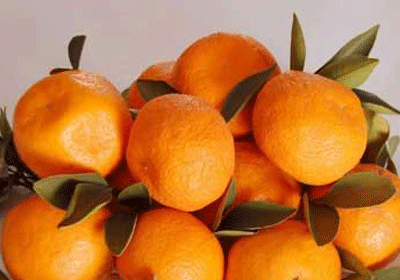Táo đỏ, lê quýt có tồn dư thuốc bảo vệ thực vật cao nhất - 1 Táo đỏ, lê quýt có tồn dư thuốc bảo vệ thực vật cao nhất - 1
