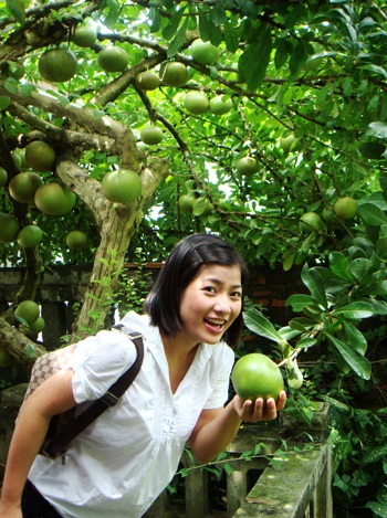 Ngắm công chúa đáng yêu của diễn viên Đàm Hằng - 2