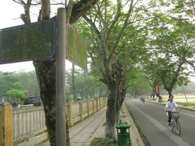 Hàng loạt bảng tên đường bị phủ rêu xanh - 2 Hàng loạt bảng tên đường bị phủ rêu xanh - 2