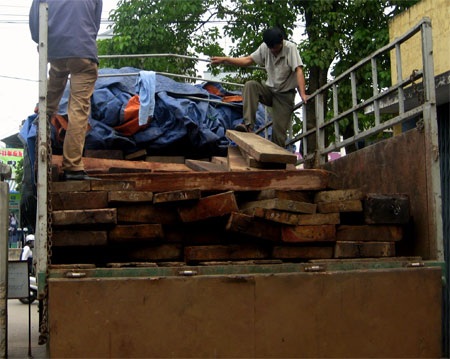 Bắt vụ vận chuyển 13 m3 gỗ lậu quý hiếm - 1