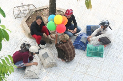 Phản cảm cảnh chèo kéo chim trong hội chùa - 1 Phản cảm cảnh chèo kéo chim trong hội chùa - 1