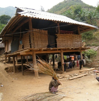 Bão AIDS tràn qua đại ngàn - 2 Bão AIDS tràn qua đại ngàn - 2
