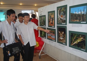 Hổ ở Việt Nam có nguy cơ tuyệt chủng vào năm 2012 - 1 Hổ ở Việt Nam có nguy cơ tuyệt chủng vào năm 2012 - 1