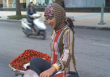 Cuối tuần miền Bắc nắng ấm - 1