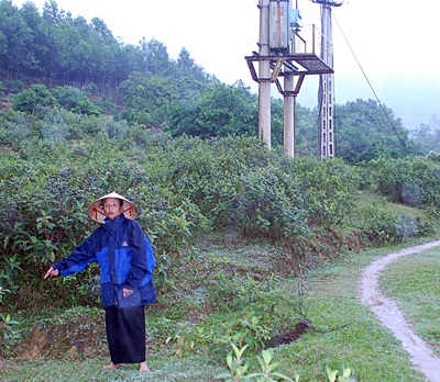 Hai phụ nữ bị lừa mất sạch tiền vàng - 1