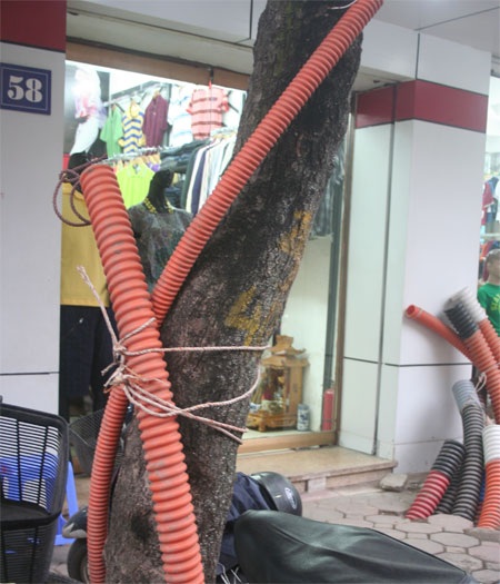 “Rắn nhân tạo” ngóc đầu… “cắn” người - 4