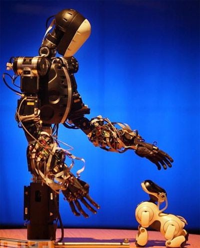Những điều kỳ diệu trong "vương quốc" robot động vật - 10 Những điều kỳ diệu trong "vương quốc" robot động vật - 10