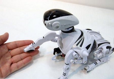 Những điều kỳ diệu trong "vương quốc" robot động vật - 13 Những điều kỳ diệu trong "vương quốc" robot động vật - 13