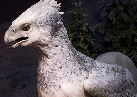 Hình ảnh thú vị trong triển lãm Harry Potter - 10 Hình ảnh thú vị trong triển lãm Harry Potter - 10