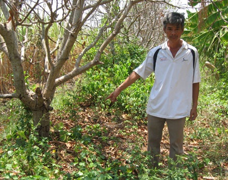 Rắn lạ tấn công người dân - 2