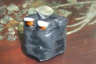 Chi cục trưởng kiểm lâm 7 năm nuôi gấu “hút” mật - 1