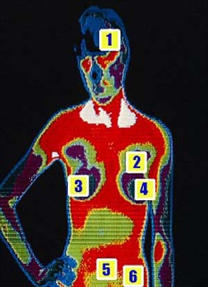 Tác hại của các hóa chất lên 5 bộ phận trong cơ thể - 1