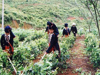 Nhiều mục tiêu giảm nghèo chưa đạt được - 1 Nhiều mục tiêu giảm nghèo chưa đạt được - 1