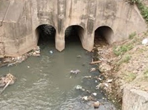 Trả lại con sông thơ mộng cho Hà Nội - 2