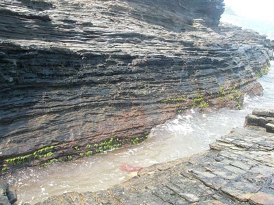 Mơ màng bãi đá Biển Rạng - 4 Mơ màng bãi đá Biển Rạng - 4