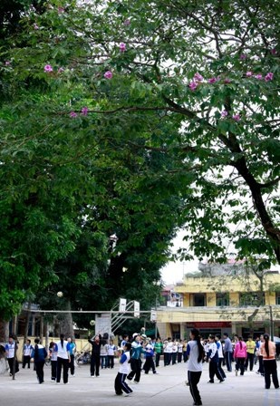 Tháng tư, Bằng Lăng tím gọi hè Hà Nội - 8 Tháng tư, Bằng Lăng tím gọi hè Hà Nội - 8