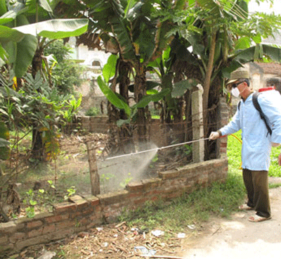 Dân bán tháo lợn chớm mắc dịch tai xanh - 2 Dân bán tháo lợn chớm mắc dịch tai xanh - 2