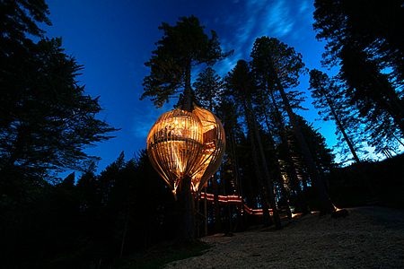 Nhà hàng hình rọ cá “lủng lẳng” trên cây - 9 Nhà hàng hình rọ cá “lủng lẳng” trên cây - 9