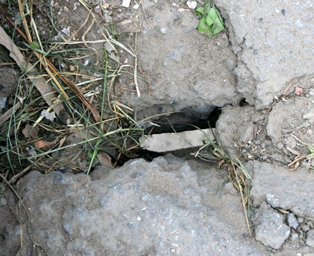 “Run bần bật” khi qua cầu Đuống - 11