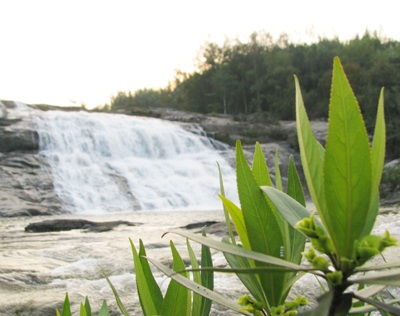 Vẻ đẹp hoang sơ của thác Sao Va - 5