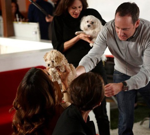 Xem Victoria Beckham và Eva Longoria quay quảng cáo điện thoại - 10