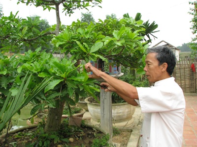 Cảm tử quân hai lần được truy điệu sống và chuyện bây giờ mới kể - 4