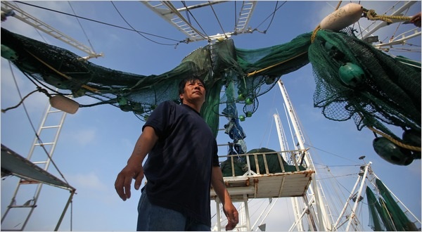 Ngư dân gốc Việt khốn đốn vì thảm họa "thủy triều đen" tại Mỹ  - 3