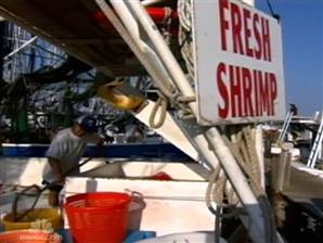 Ngư dân gốc Việt khốn đốn vì thảm họa "thủy triều đen" tại Mỹ  - 2