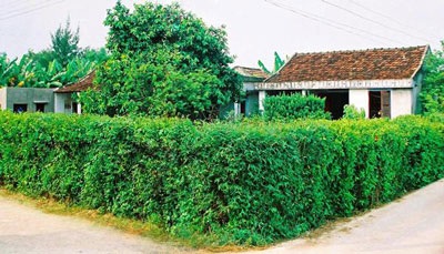 Hàng Dâm bụt đã qua - 1