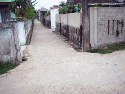 Hàng Dâm bụt đã qua - 9