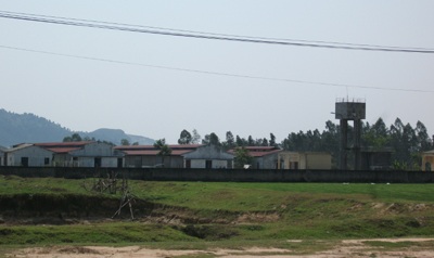 Dịch tai xanh diễn biến phức tạp, nguy cơ “xóa sổ” trạm lợn giống - 1