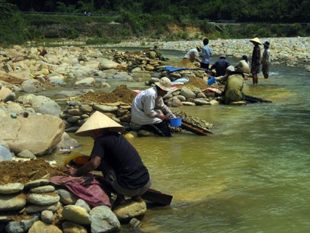 Dân đổ xô đãi vàng, đục khoét lòng sông - 1