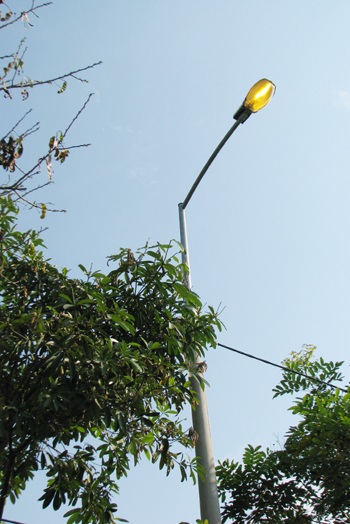 Đèn cao áp sáng giữa ban ngày - 3