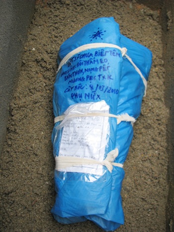 Quân dân Hà Tĩnh đón các anh hùng về đất Mẹ - 10