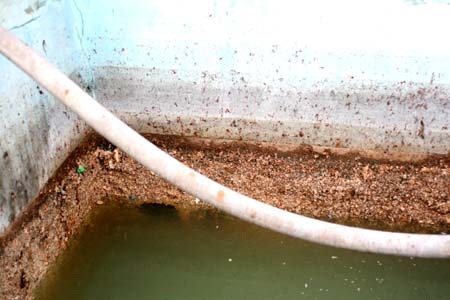 Tạm đình chỉ 3 phân xưởng sản xuất của Tung Kuang - 1