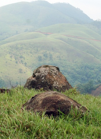 Xây chùa lớn nhất vùng Đông Bắc trên “mảnh đất thiêng” - 3