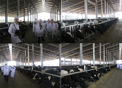 Khởi công xây dựng nhà máy sữa lớn nhất Đông Nam Á - 1