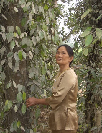 Bài 2: Những nữ anh hùng trên đất lửa - 4 Bài 2: Những nữ anh hùng trên đất lửa - 4