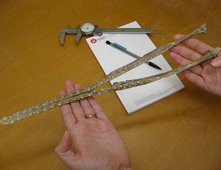 Những hình ảnh ấn tượng trong tuần - 8 Những hình ảnh ấn tượng trong tuần - 8