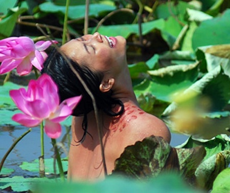 Đỗ Hải Yến lỡ hẹn LHP Cannes vì ốm - 2 Đỗ Hải Yến lỡ hẹn LHP Cannes vì ốm - 2