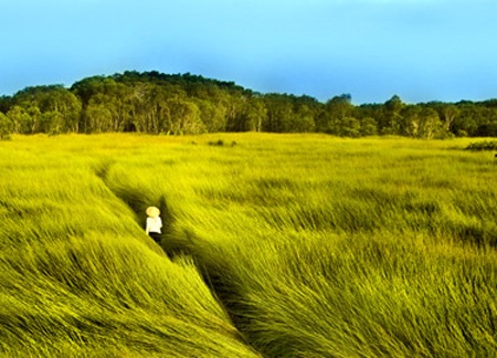 Đỗ Hải Yến lỡ hẹn LHP Cannes vì ốm - 4 Đỗ Hải Yến lỡ hẹn LHP Cannes vì ốm - 4