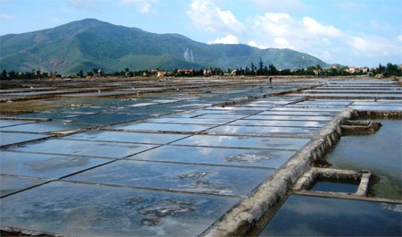 Diêm dân lo quay quắt vì muối rớt giá - 1