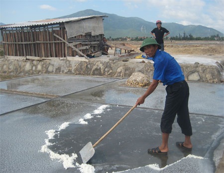 Diêm dân lo quay quắt vì muối rớt giá - 2