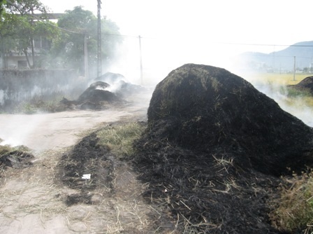 Vô tư biến quốc lộ thành sân phơi lúa - 7