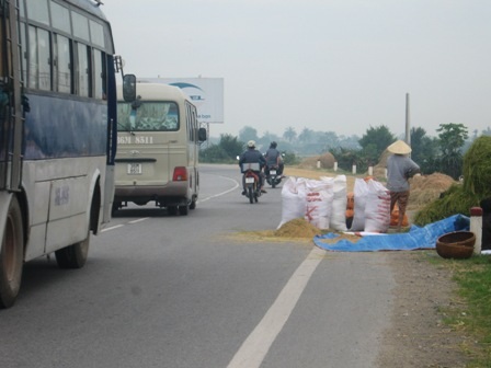 Vô tư biến quốc lộ thành sân phơi lúa - 6