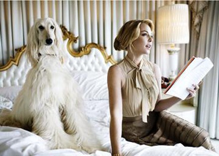 Katherine Heigl đẹp thanh lịch trên Harper’s Bazaar - 4