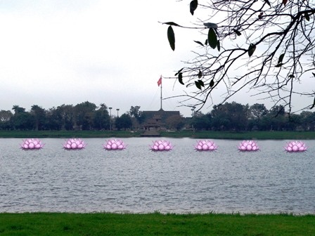 Ngắm hoa sen “khổng lồ” trên sông Hương - 8 Ngắm hoa sen “khổng lồ” trên sông Hương - 8