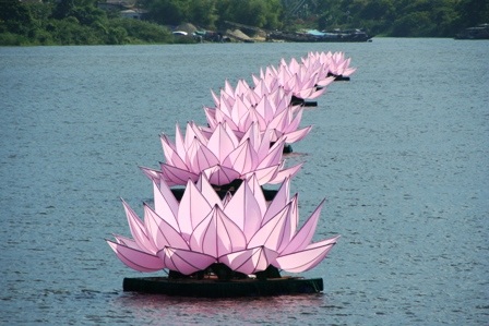 Ngắm hoa sen “khổng lồ” trên sông Hương  - 9