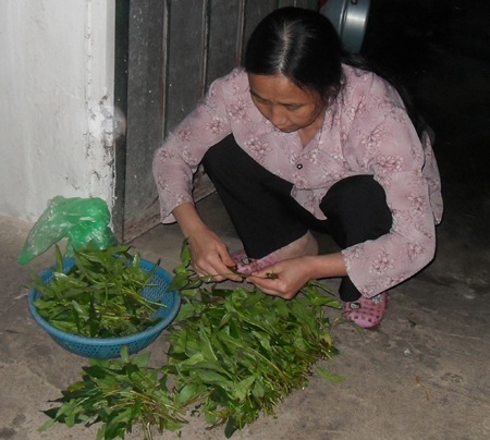 Người đàn bà mù 30 năm khát chữ - 1 Người đàn bà mù 30 năm khát chữ - 1