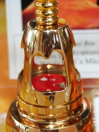 Chiêm bái xá lợi Phật tại Ni viện Diệu Quang - 8 Chiêm bái xá lợi Phật tại Ni viện Diệu Quang - 8